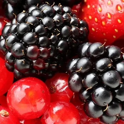 Ежевика  Ежевика в Архангельске