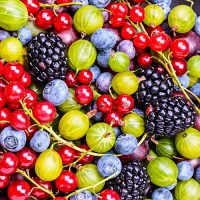 СУПЕР НОВИНКИ  СУПЕР НОВИНКИ в Архангельске