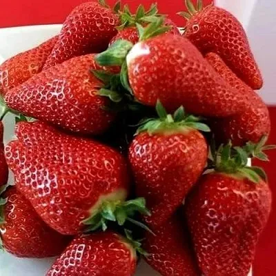 Клубника БРИЛЛА в Архангельске