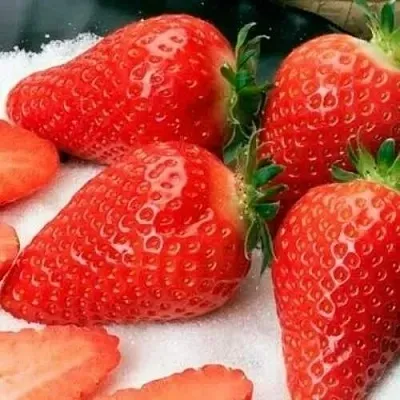 Клубника АЛЬБА в Архангельске