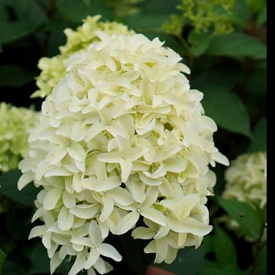 Средняя в Архангельске